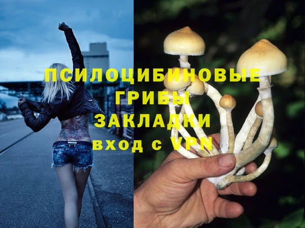 мет Тихвин