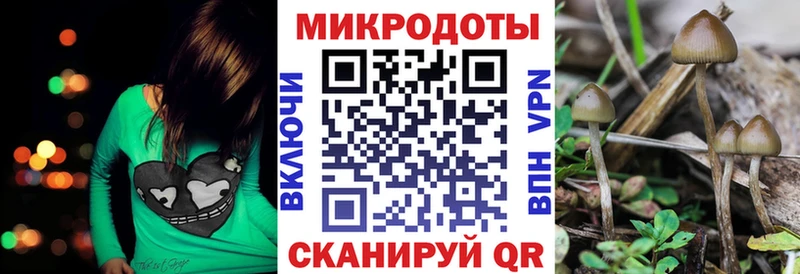 Галлюциногенные грибы мицелий Когалым